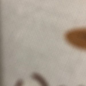 Meet your Posher, Negge